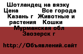 Шотландец на вязку › Цена ­ 1 000 - Все города, Казань г. Животные и растения » Кошки   . Мурманская обл.,Заозерск г.